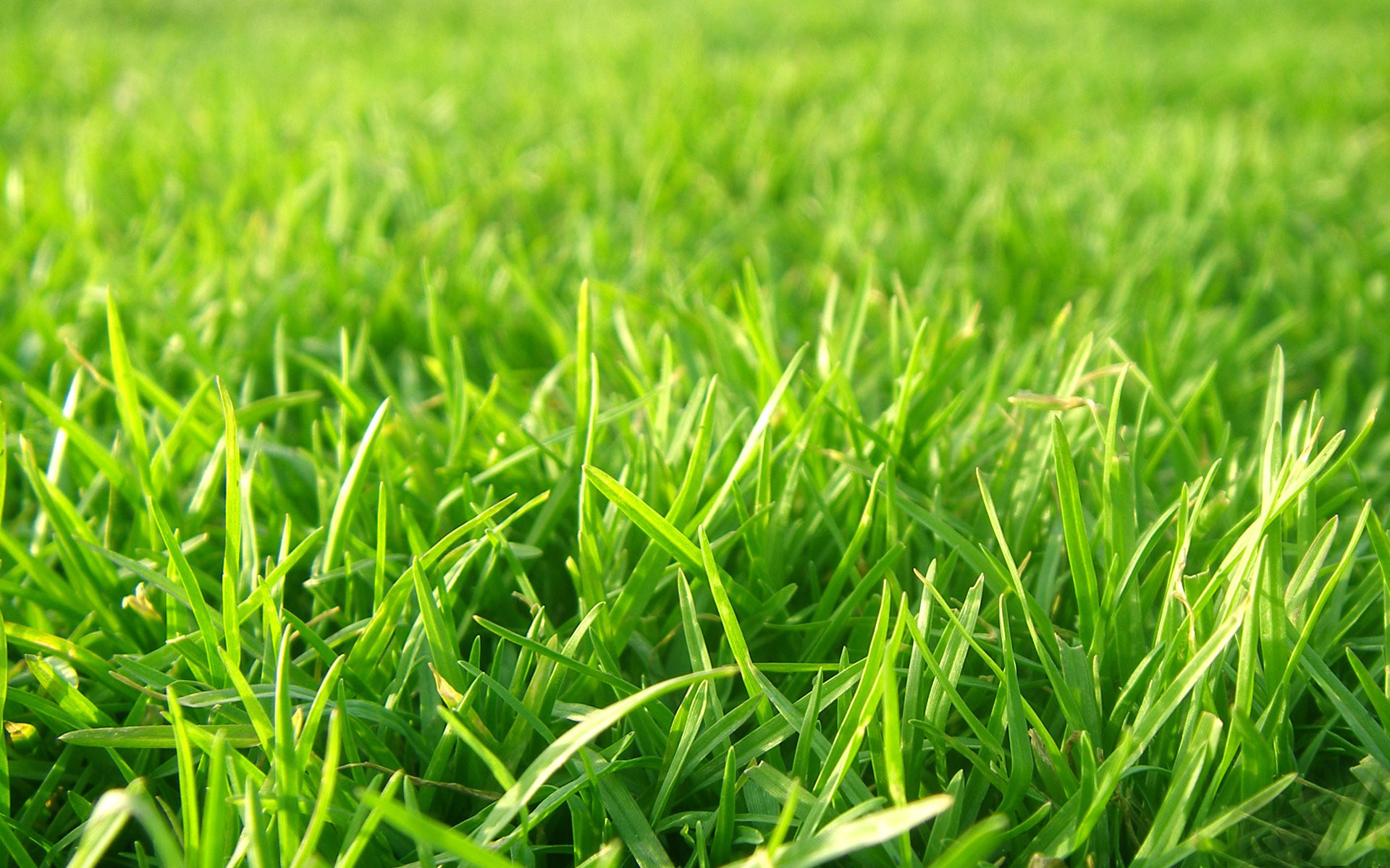 free-wallpaper-19